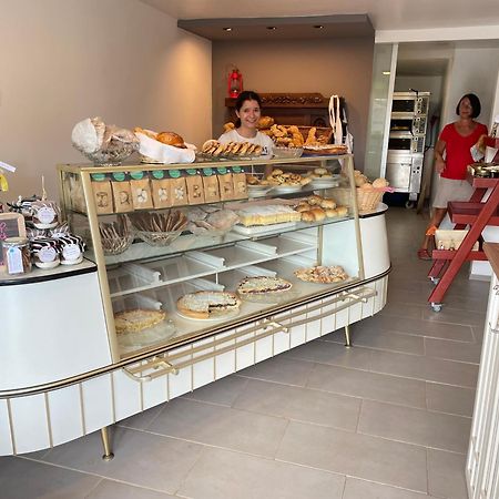 شقة Haus Rebenblick Dierbach المظهر الخارجي الصورة